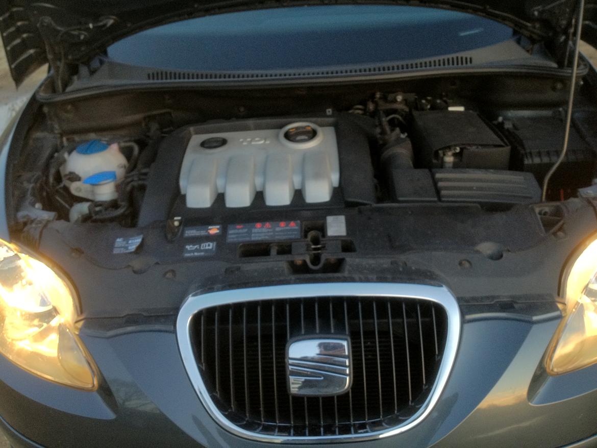 Seat Altea billede 13