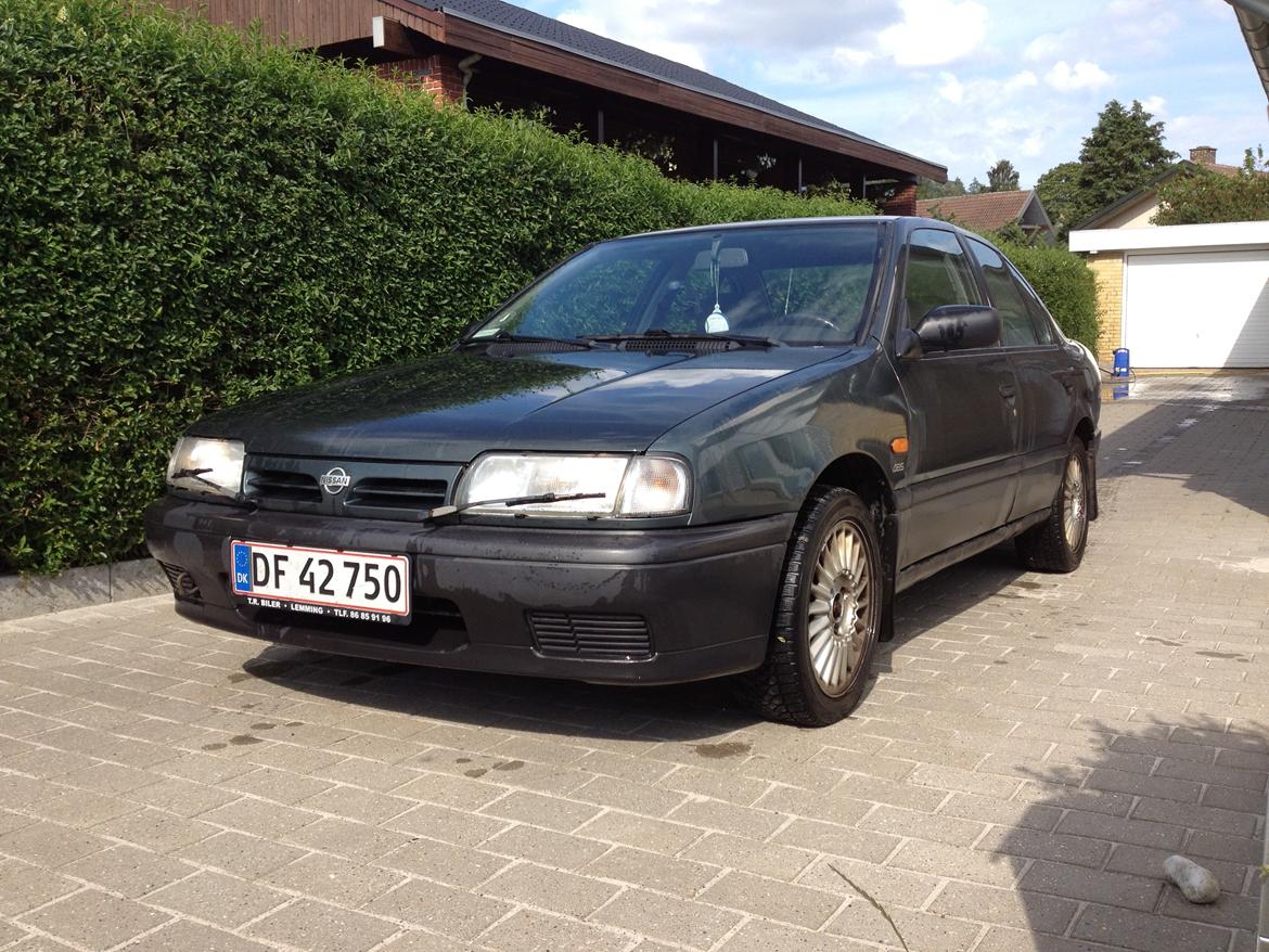 Nissan Primera P10 LX billede 2