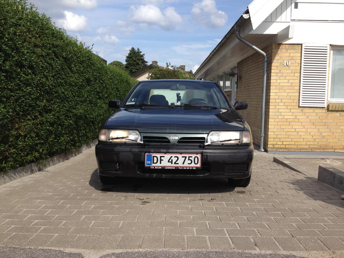 Nissan Primera P10 LX billede 3
