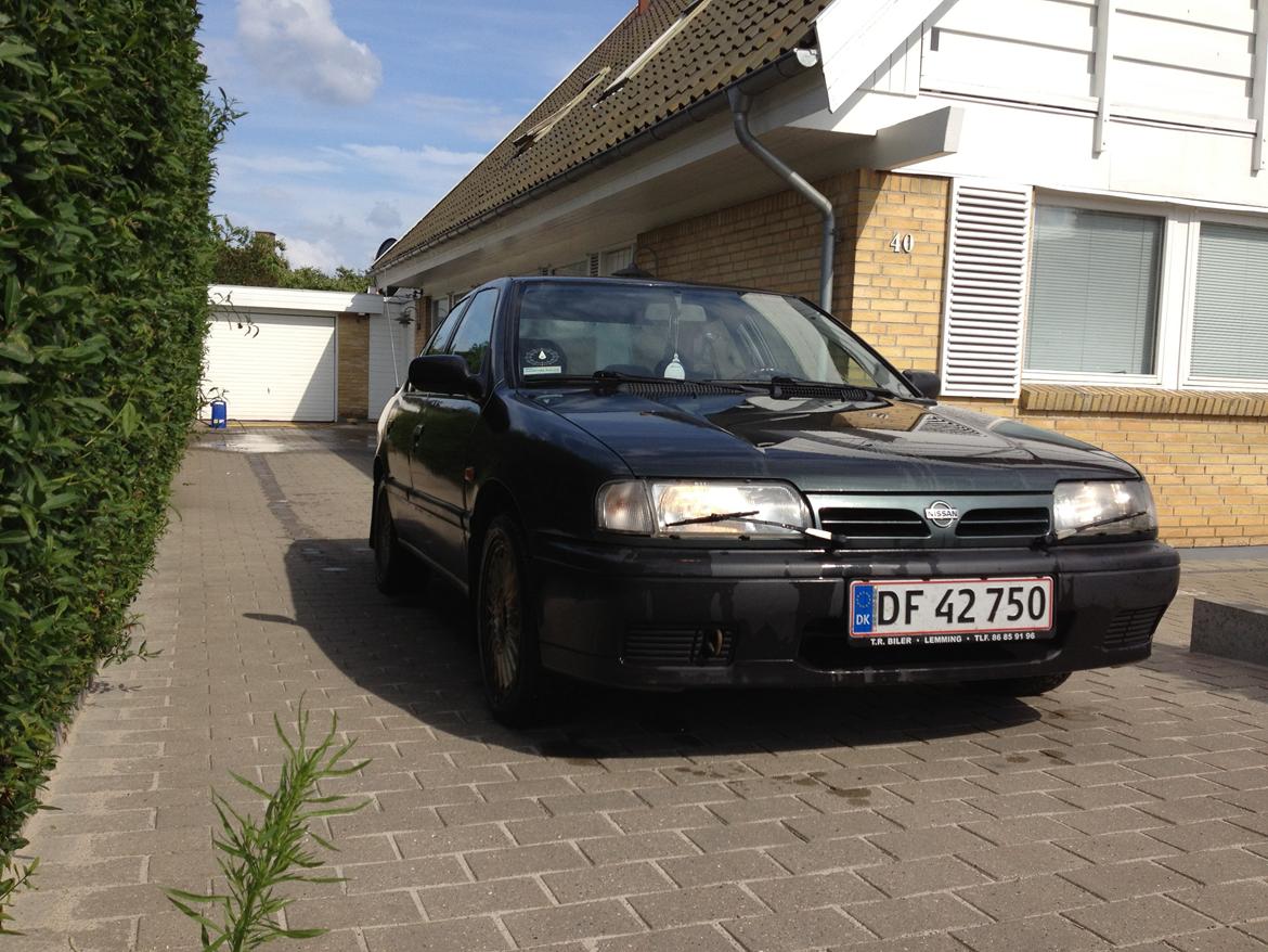 Nissan Primera P10 LX billede 5