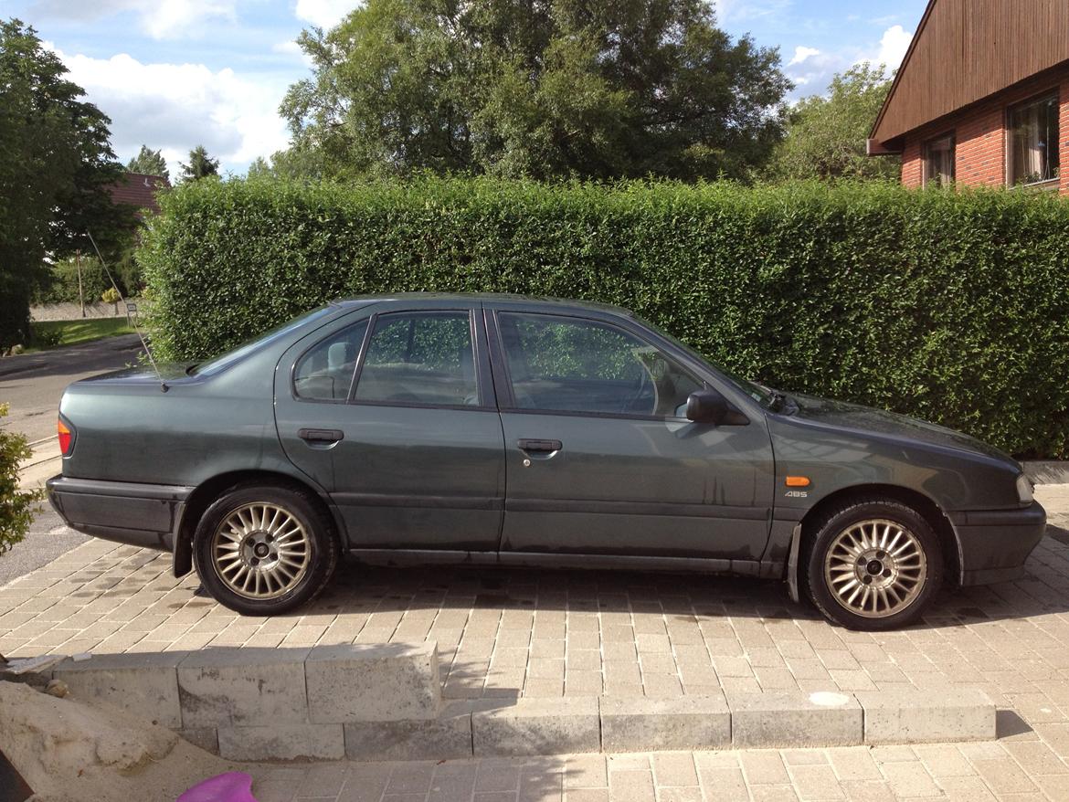 Nissan Primera P10 LX billede 13