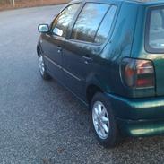 VW Polo 6N