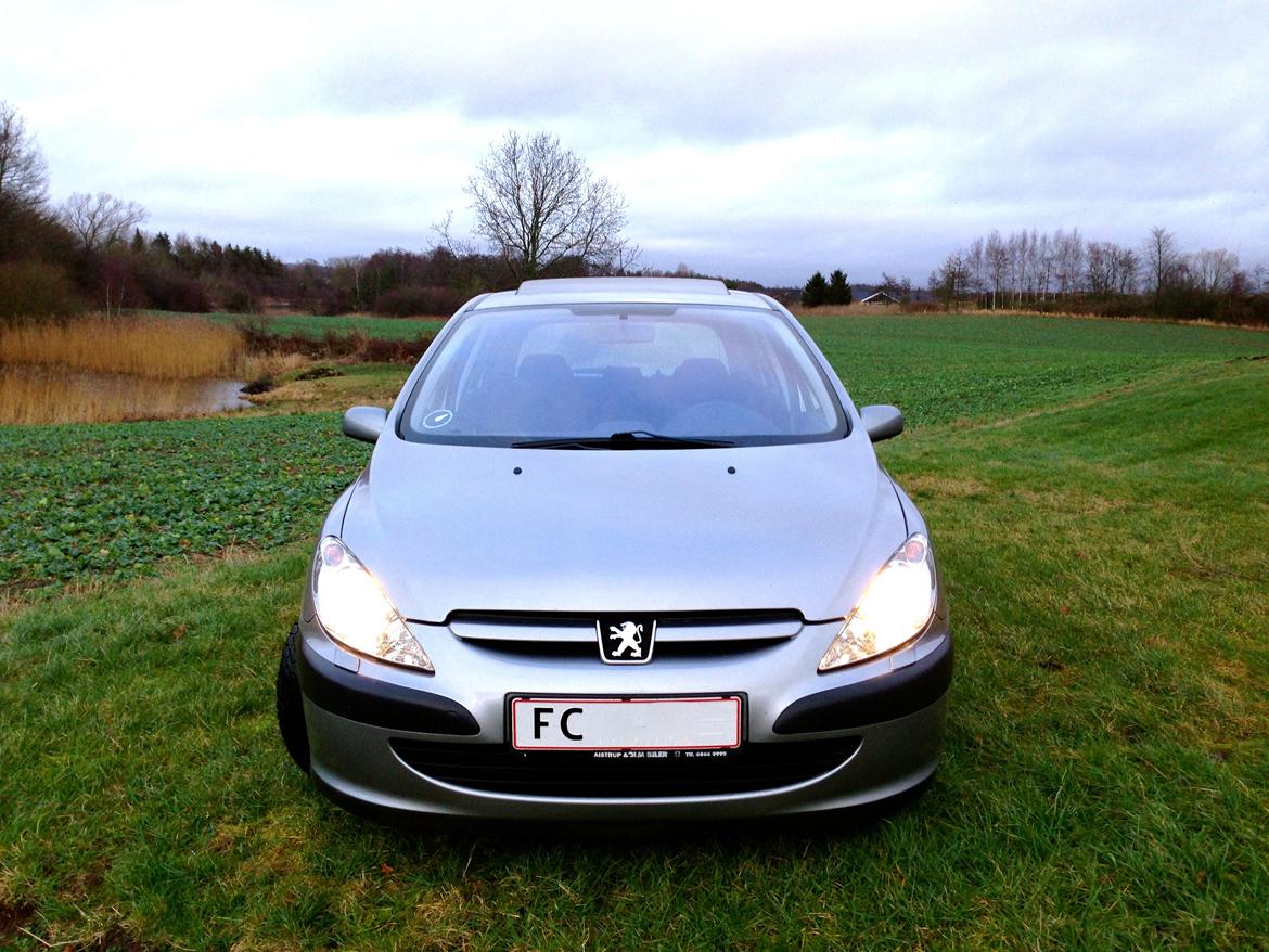 Peugeot 307 SE (Solgt) billede 11