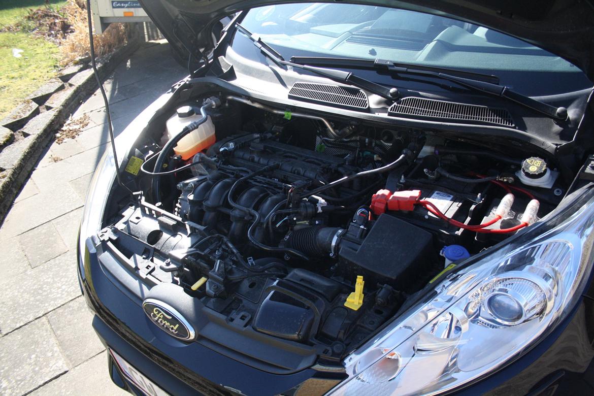 Ford Fiesta MK7 Sport Street Edition billede 5