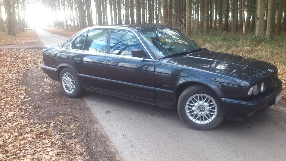 BMW 525 billede 16