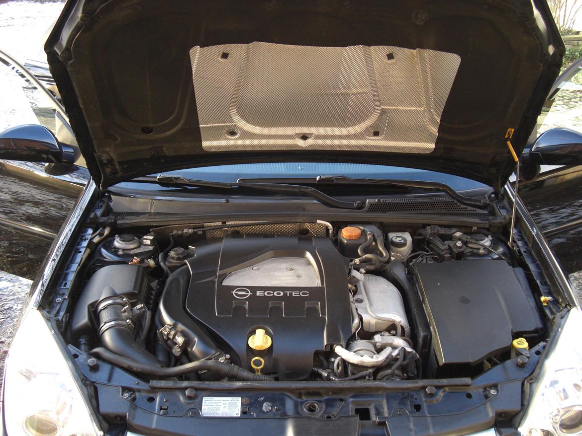 Opel Vectra C 2,8 V6 Turbo Elegance II billede 3