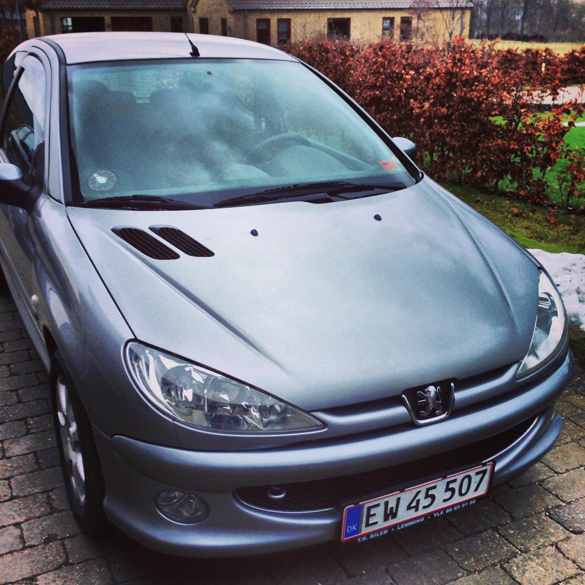 Peugeot 206 s16 billede 1
