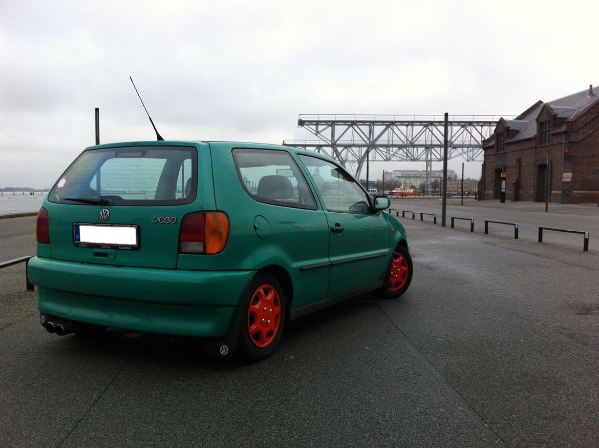 VW Polo 6N (Vinterbilen) billede 17