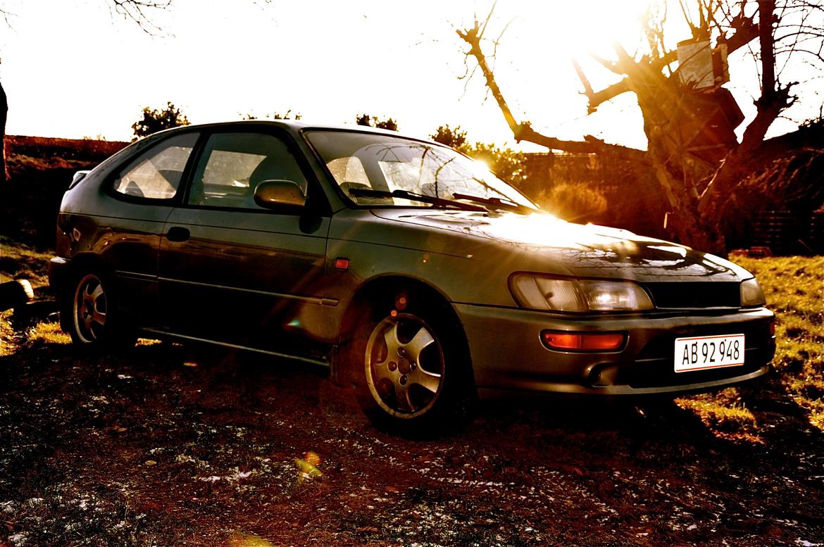 Toyota Corolla billede 1