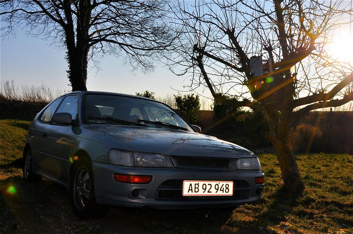 Toyota Corolla billede 2