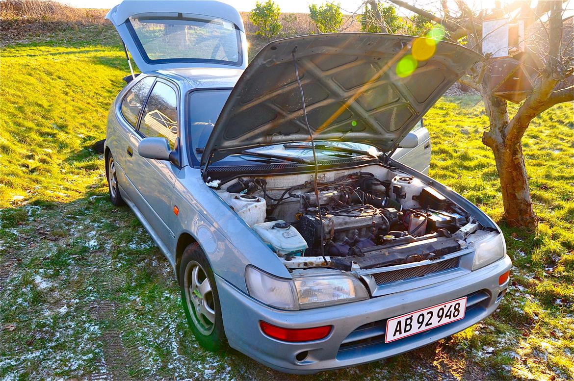 Toyota Corolla billede 13