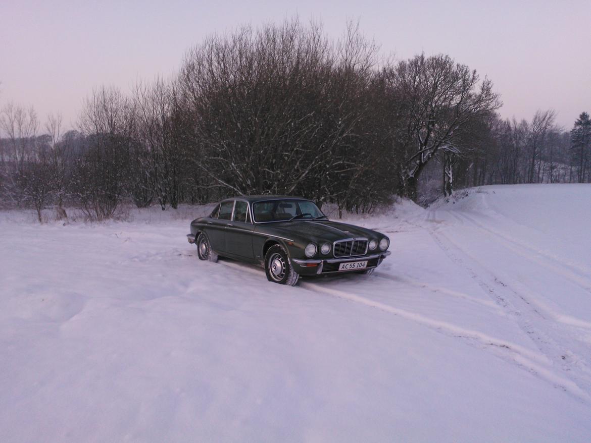 Jaguar XJ6 4,2 Auto Serie 1 billede 6