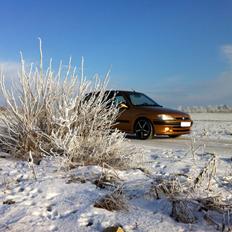 Peugeot GTI 16V SOLGT