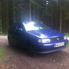 VW Polo 6n Recaro
