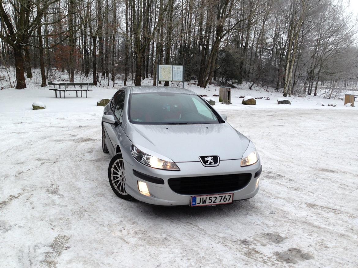 Peugeot 407 billede 1