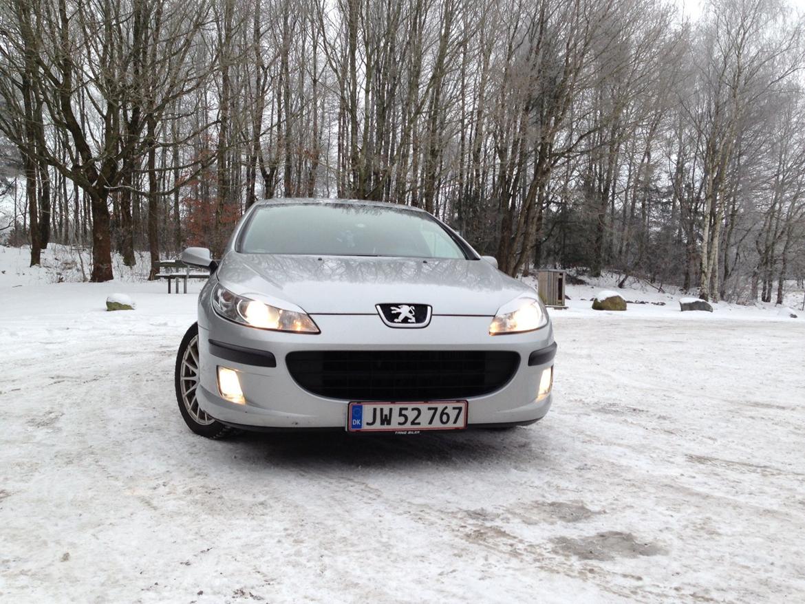 Peugeot 407 billede 2
