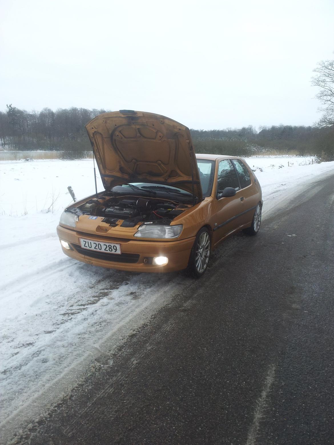 Peugeot 306 / Guldkaramellen / billede 18