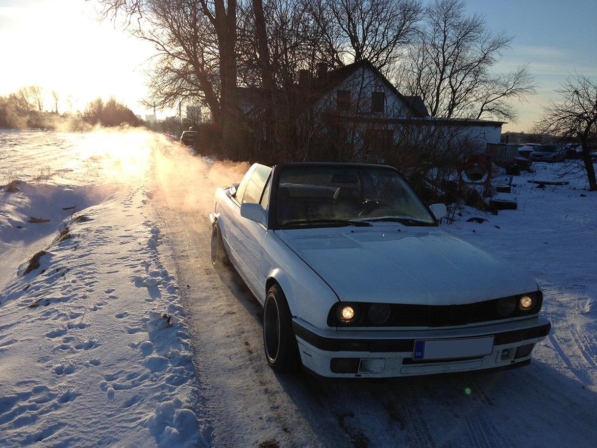 BMW E30 Cabriolet - Lige gravet frem af vinterhiet, klar til at komme på trailer. billede 1