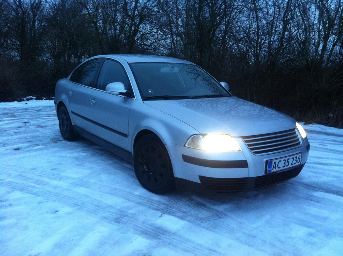 VW Passat 3BG 1,8T billede 4