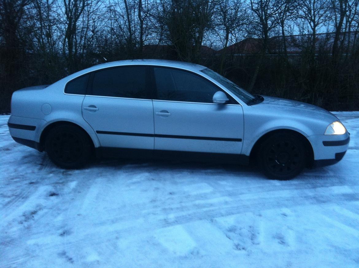 VW Passat 3BG 1,8T billede 6