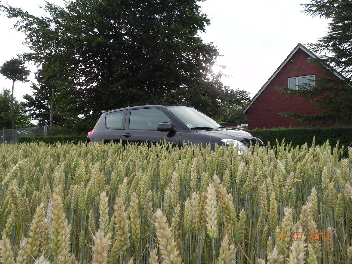 Suzuki Swift 1,6 Sport billede 19