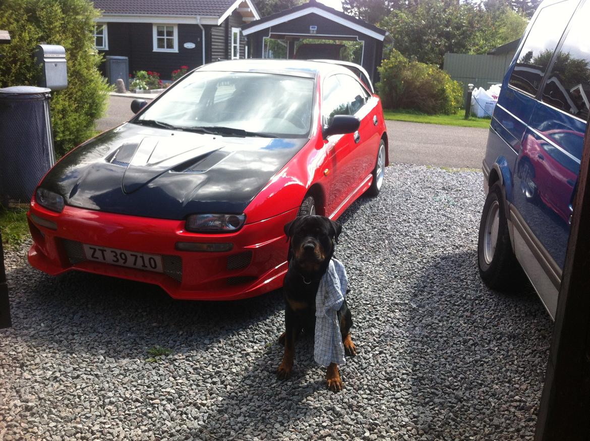 Mazda 323 f ba - hunden ka også hjælpe til billede 13