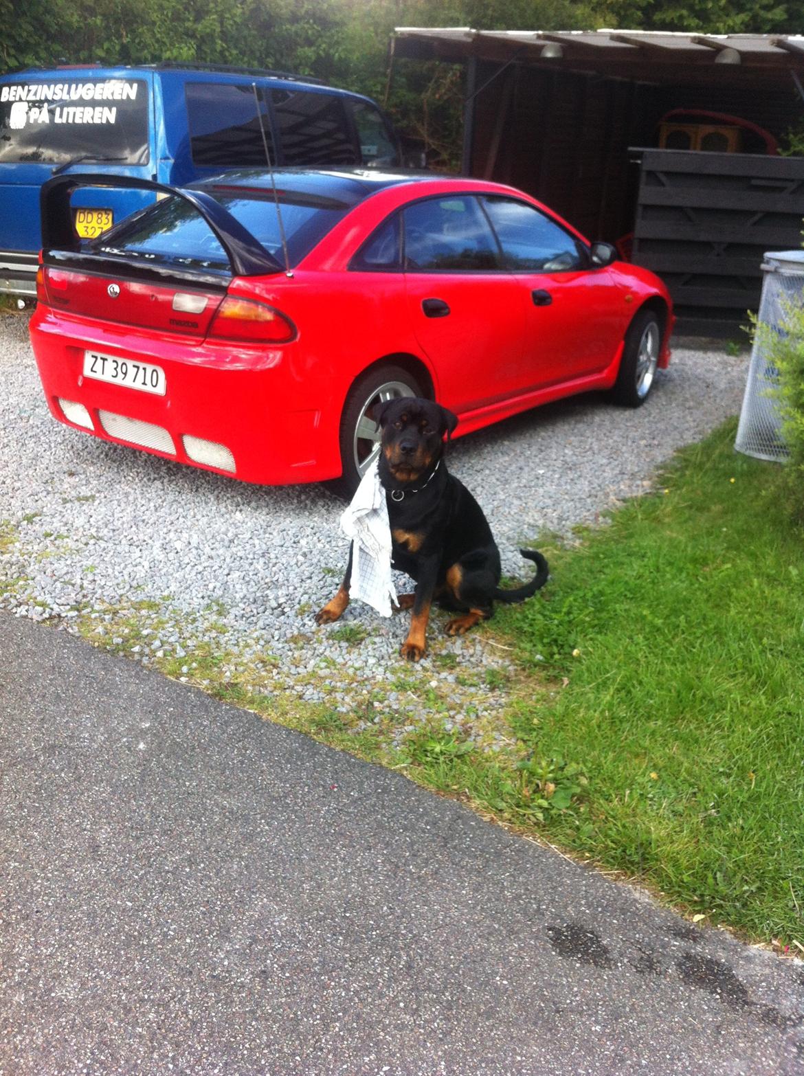 Mazda 323 f ba - pussedag med hunden billede 14