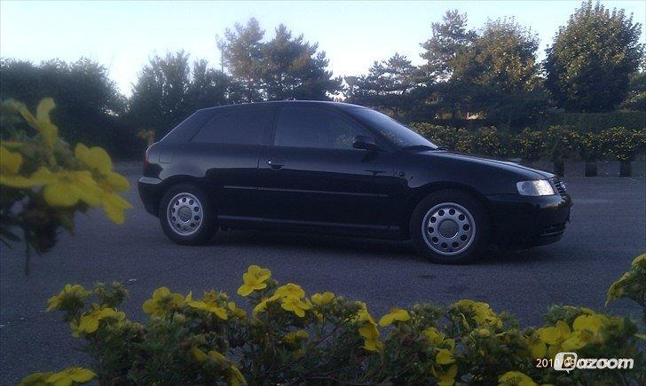 Audi A3 1.6 16V billede 5