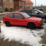 Toyota Corolla HB Terra