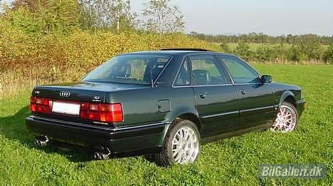 Audi V8 4.2 Quattro Exclusiv billede 8