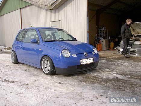 VW lupo 3l 1.2 tdi billede 1