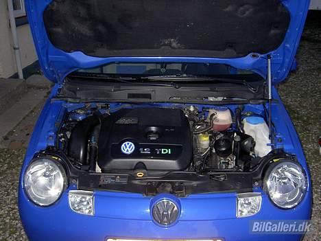 VW lupo 3l 1.2 tdi billede 8