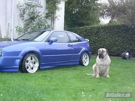 VW Corrado G60 SOLGT billede 16