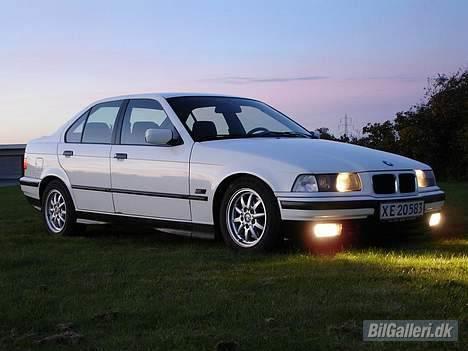 BMW 318i billede 5