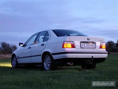 BMW 318i billede 6