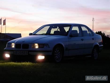 BMW 318i billede 7