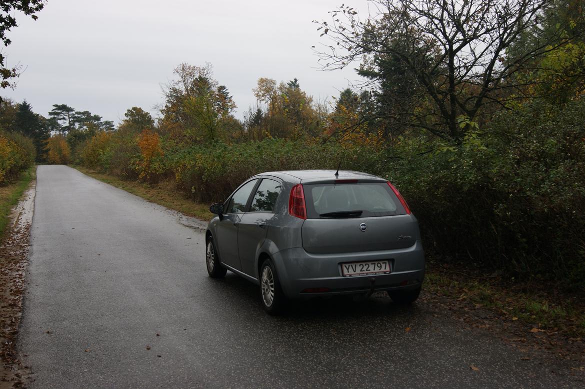 Fiat Grande Punto 1.3 JTD billede 8