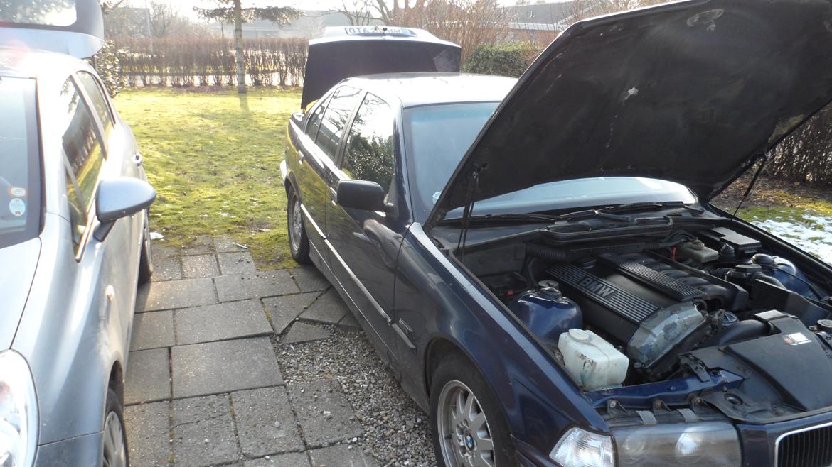 BMW e36 320 billede 10