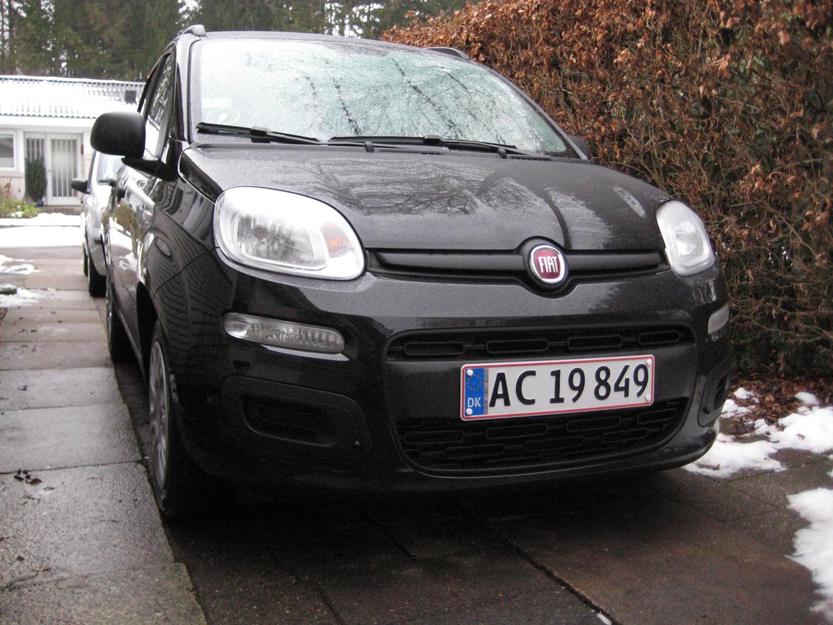 Fiat Panda 1,2 Valore - 2 x Panda i indkørslen. Vores Panda fra 2008 kan skimtes i baggrunden billede 1