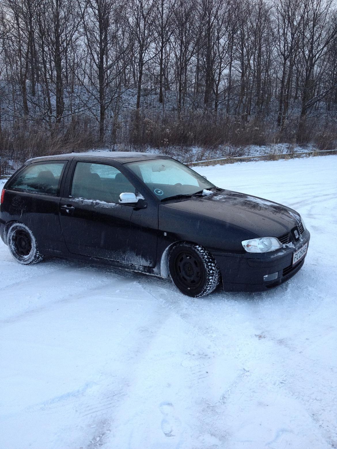 Seat Ibiza 6k2 billede 16