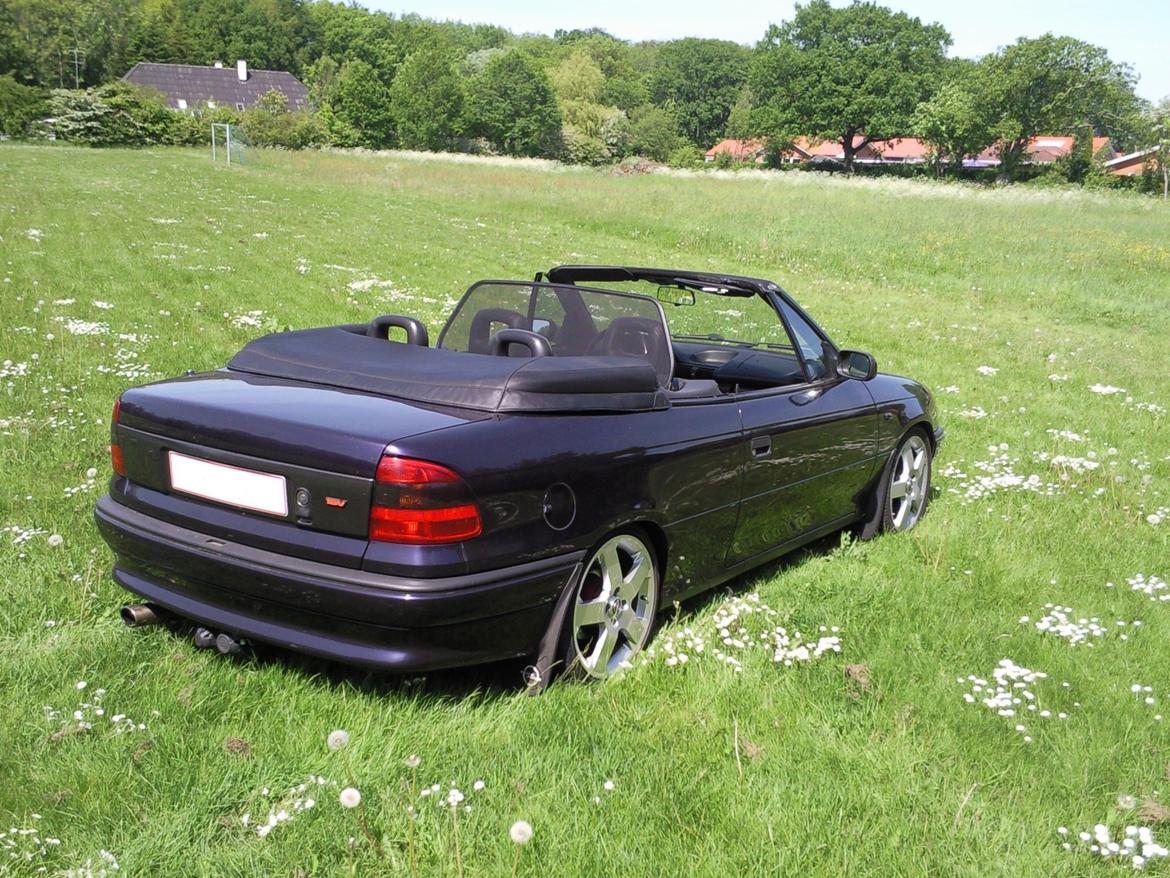 Opel Astra F Cabriolet Bertone billede 14