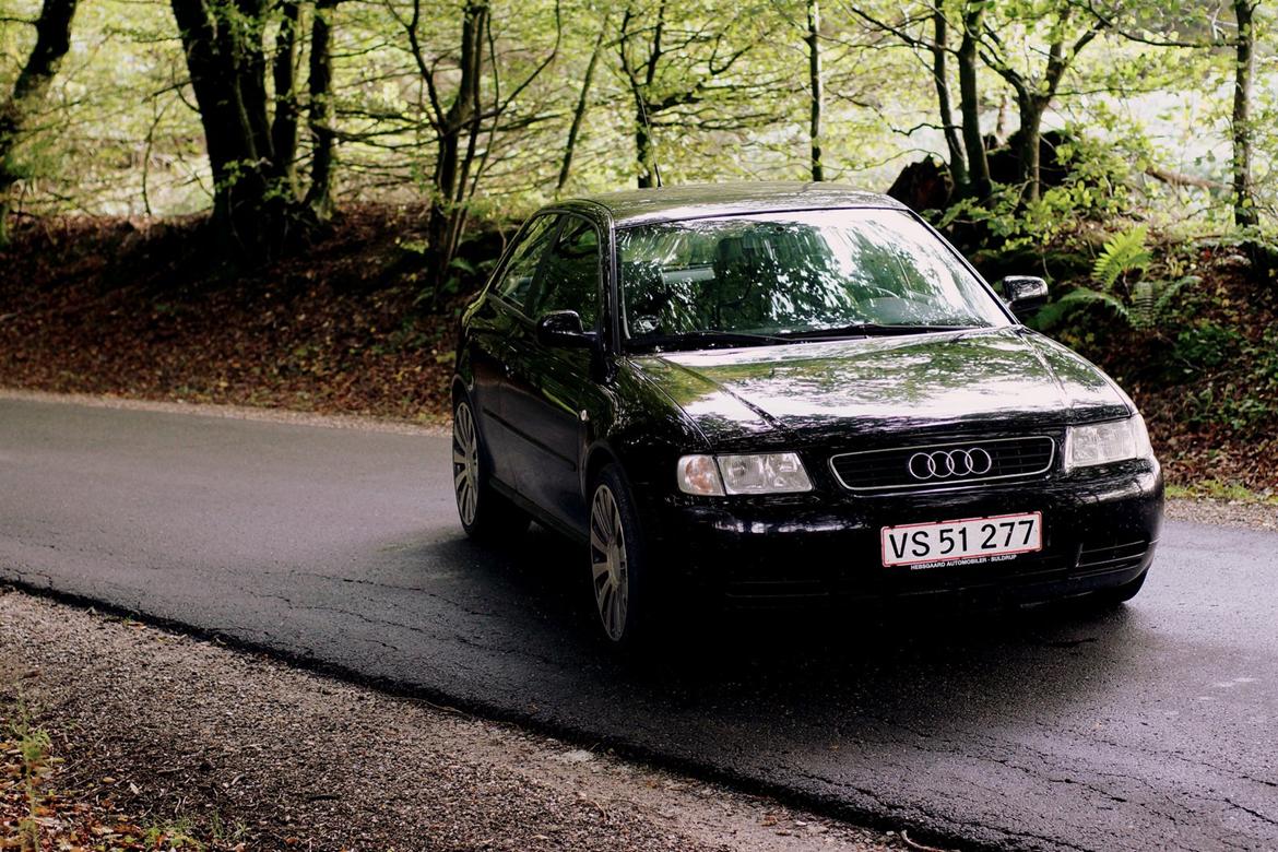 Audi A3 8L 1.6 billede 6