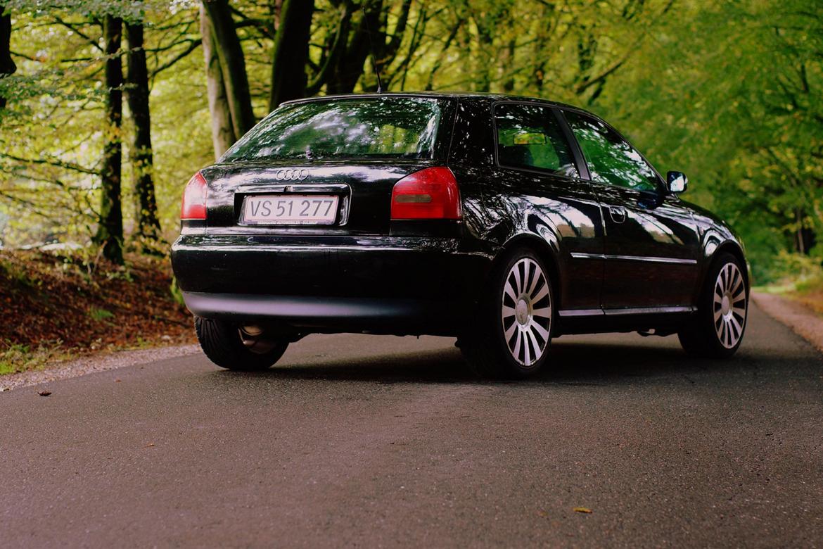 Audi A3 8L 1.6 billede 11