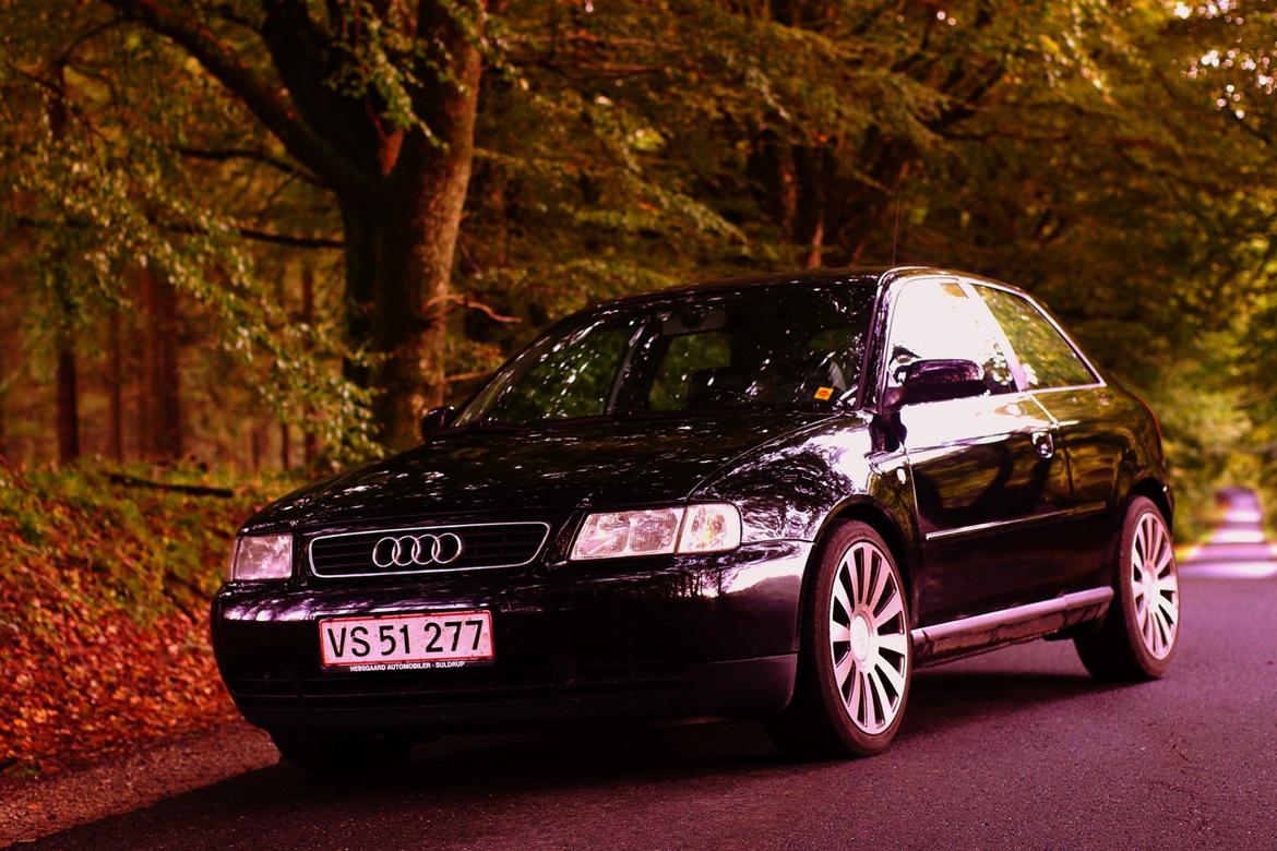 Audi A3 8L 1.6 billede 12