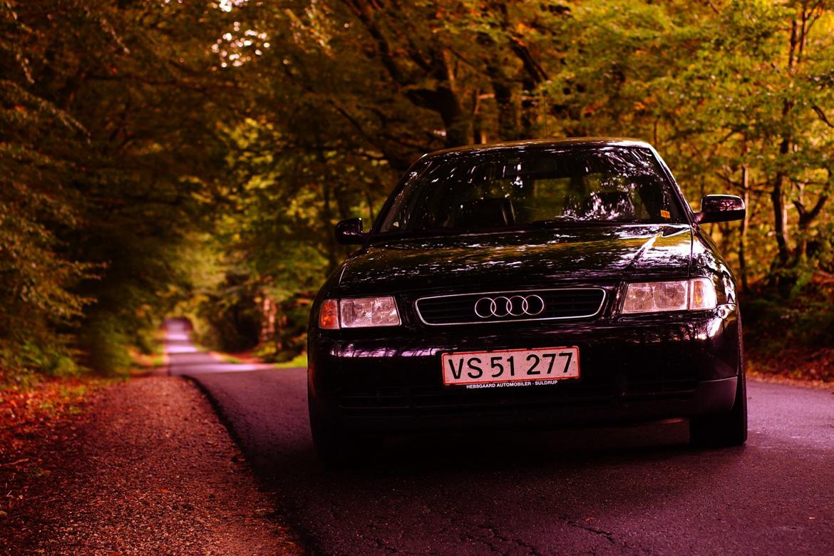 Audi A3 8L 1.6 billede 13