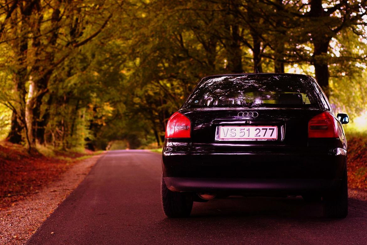 Audi A3 8L 1.6 billede 14