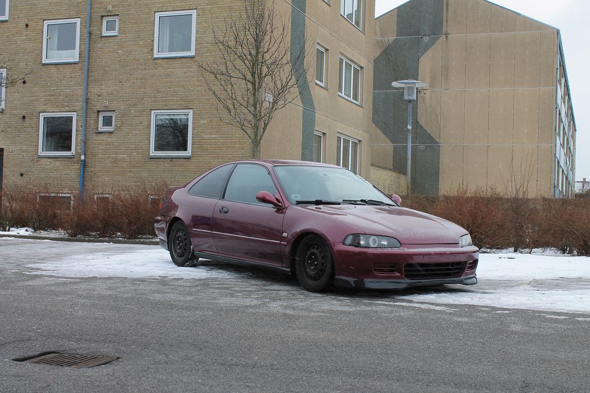 Honda civic 1,5 16v coupe billede 13