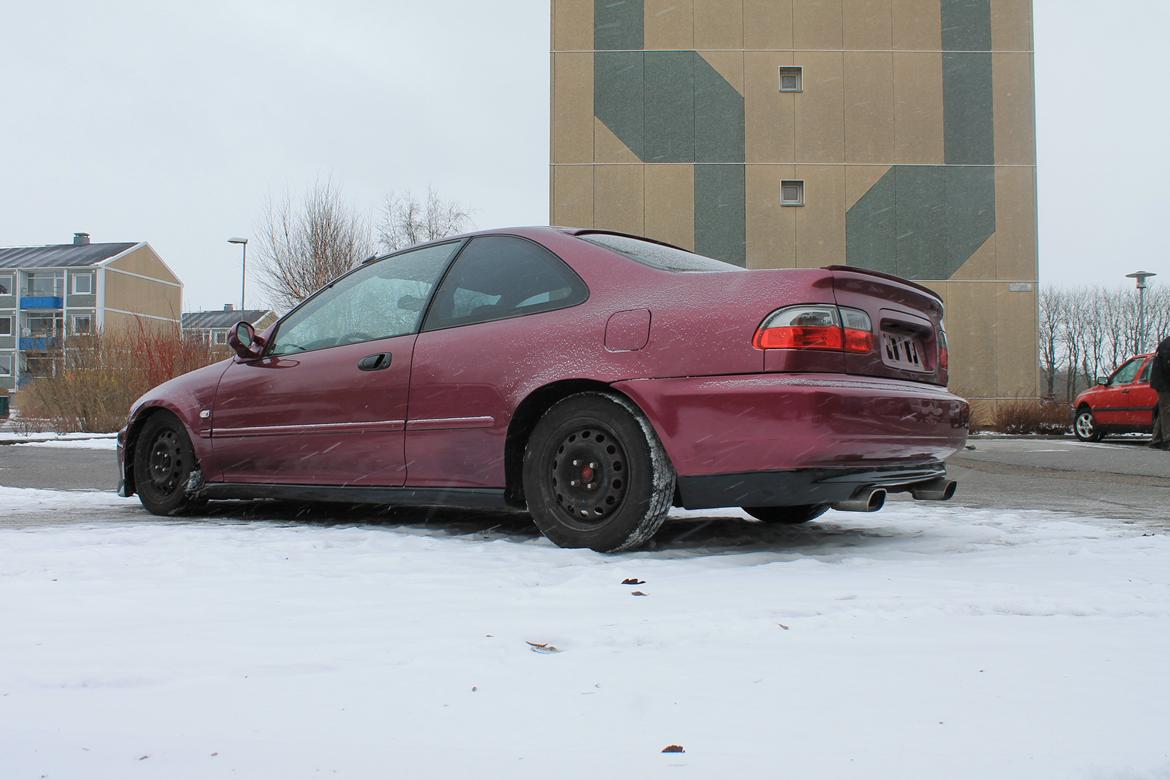 Honda civic 1,5 16v coupe billede 16