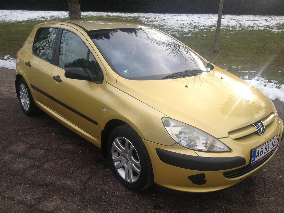 Peugeot 307 billede 2