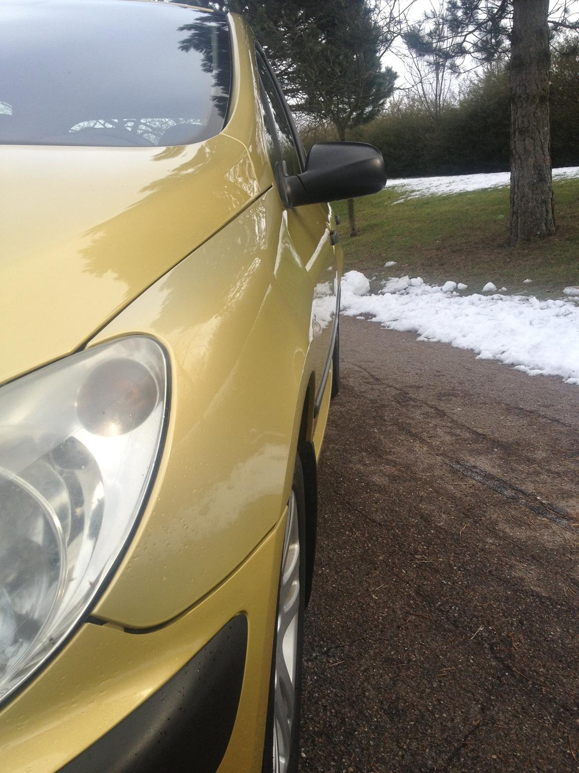 Peugeot 307 billede 4